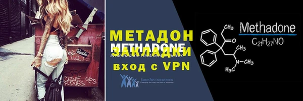 прущие грибы Белокуриха